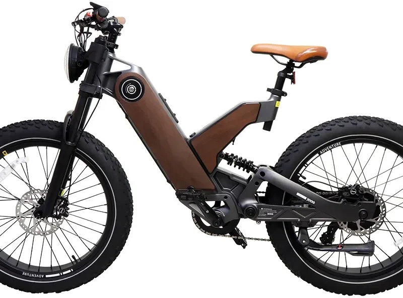 Bicicleta Eletrica Joog P5 Aro 24.4 Bateria de 20Ah Autonomia até 128Km