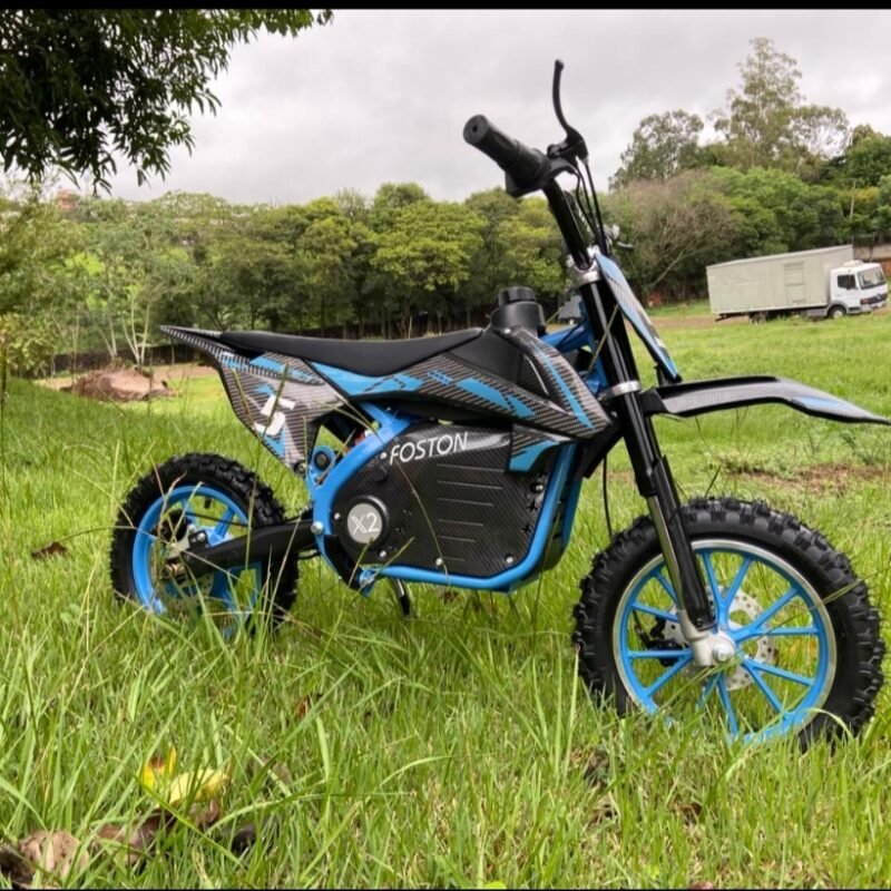 Moto Eletrica Infatil Foston X2   36V 500W Batria De Lithim