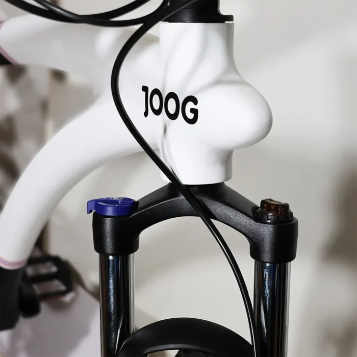 Bicicleta Joog G5 X100 Aro 28 (700c) Fibra de carbono 14Kg - Imagem 7
