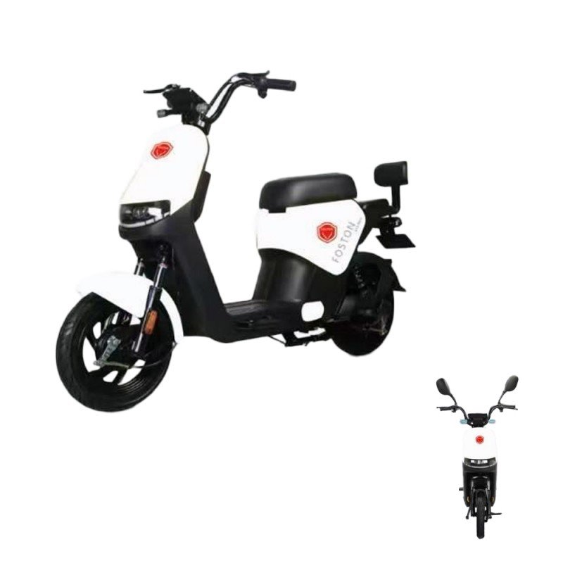 MOTO ELETRICA FOSTON X15 MAX   1000w