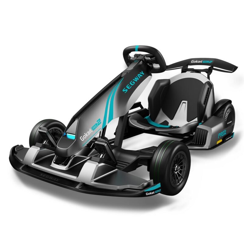 Kart Eletrico Segway GoKart Pro2