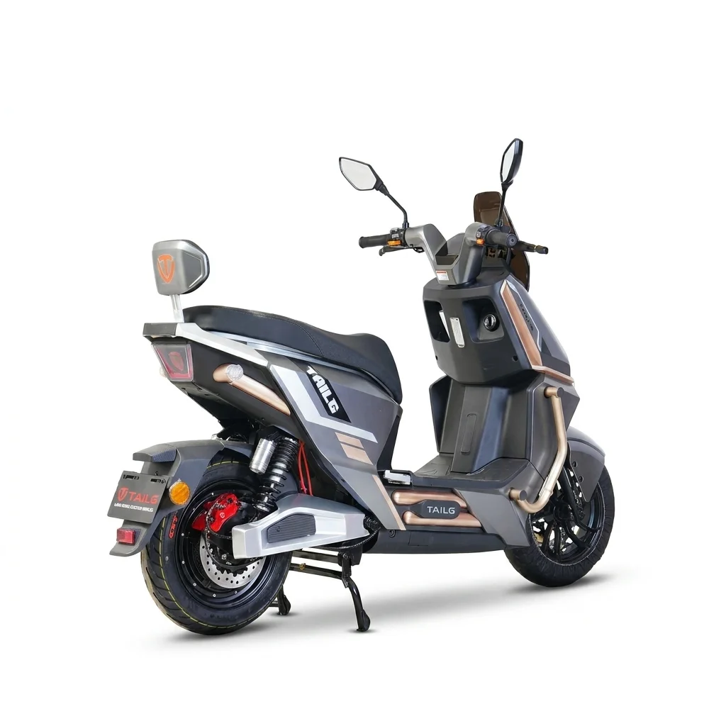 Moto Elétrica Tailg T73 1000W Gray 72V35Ah - Imagem 3