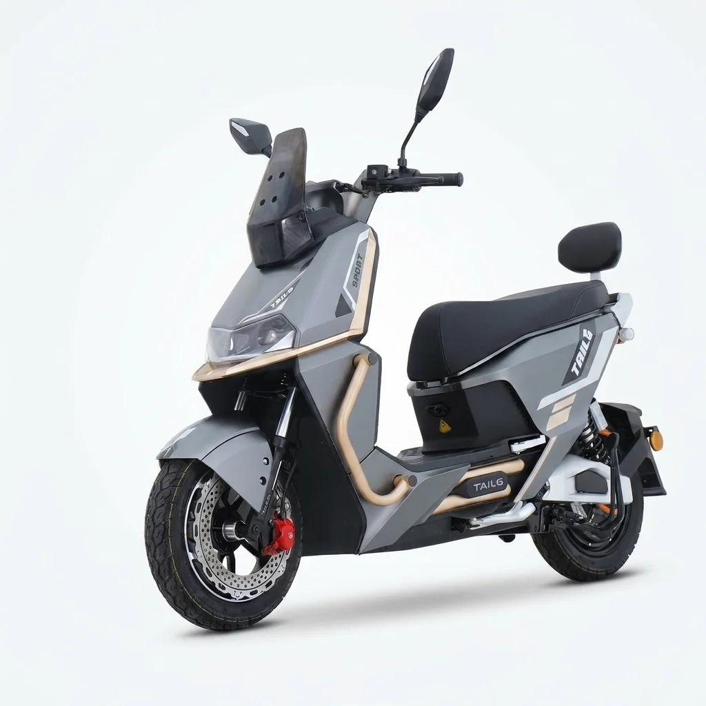 Moto Elétrica Tailg T73 1000W Gray 72V35Ah - Imagem 5
