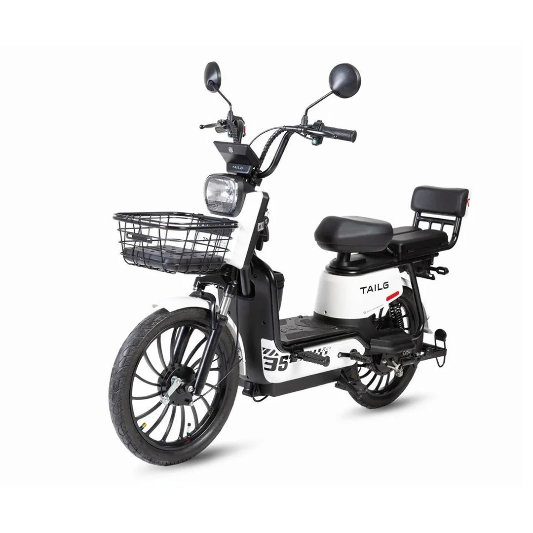 Moto Elétrica TAILG JF35Z 1000W Verde 32km/h Chumbo-Ácido
