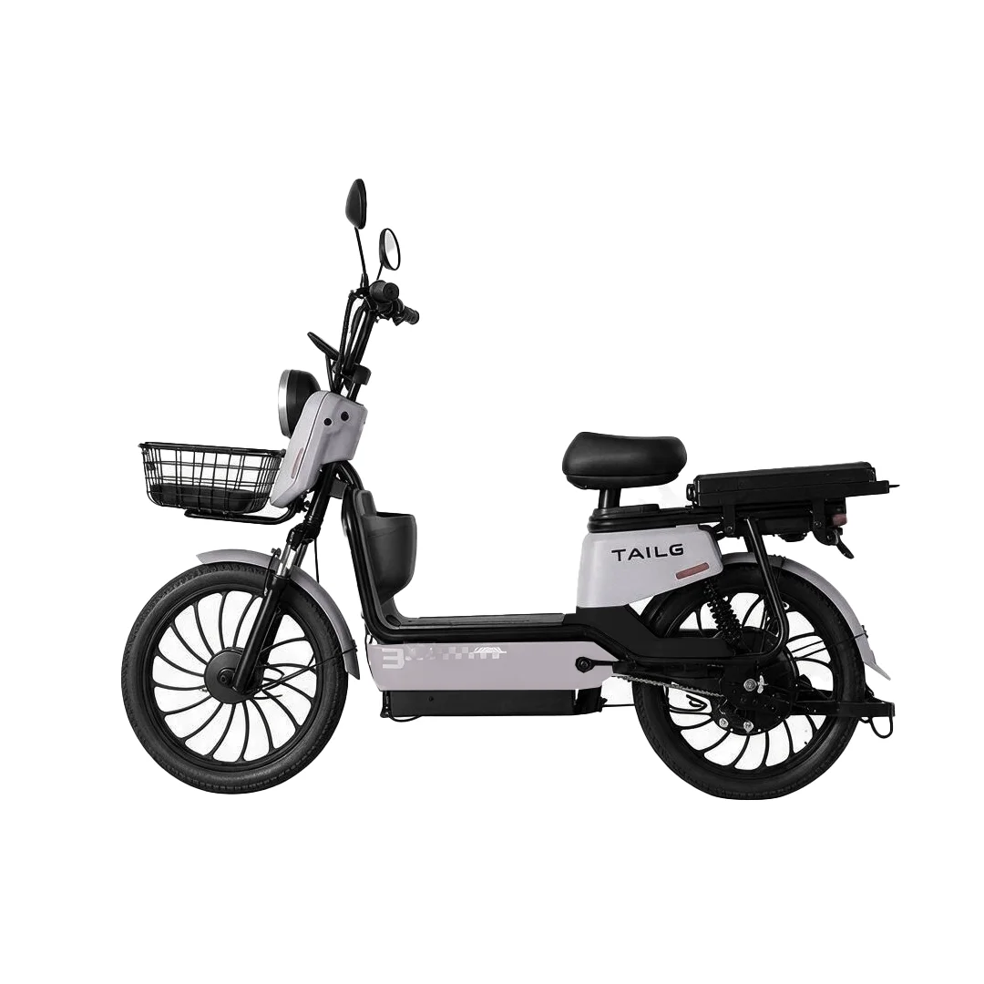 Moto Elétrica TAILG JF35Z 1000W Verde 32km/h Chumbo-Ácido - Imagem 3